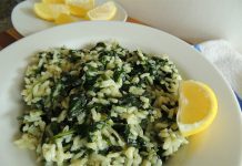 Postan spanać sa pirinčem postan spanac sa pirincem recept