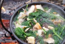Posno varivo sa somovinom i koprivom Posno varivo sa somovinom i korpivom recept