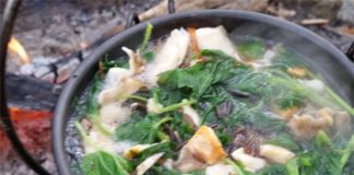 Posno varivo sa somovinom i koprivom Posno varivo sa somovinom i korpivom recept