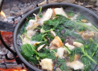 Posno varivo sa somovinom i koprivom Posno varivo sa somovinom i korpivom recept