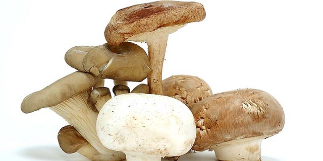 Gljive, Pečurke - Nutritivne vrednosti