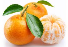 Mandarina mandarina