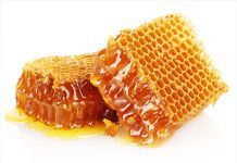 Med, matični mleč, propolis med, maticni mlec, propolis
