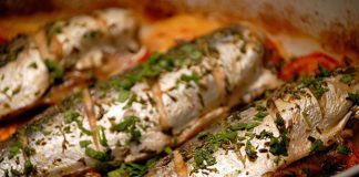 Hladne skuše hladne-skuse recept