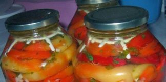 Zimnica: Barene paprike barena paprika