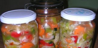 Zimnica: Šarena salata sarena salata