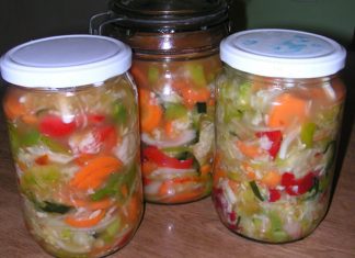 Zimnica: Šarena salata sarena salata