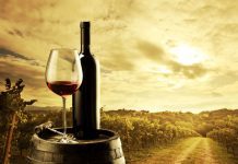 Crno vino lek za mnoge bolesti crno vino lek za mnoge bolesti blog