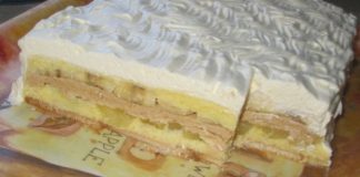 San snova posna torta posna torta san snova recept
