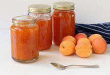 Džem od kajsija dzem-od-kajsija recept