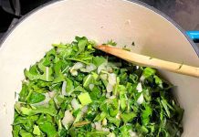 Posna salata od maslačka Posna salata od maslačka