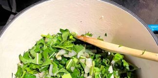 Posna salata od maslačka Posna salata od maslačka